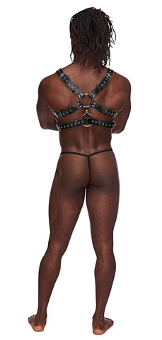 Gemini Leather Harness - One Size - Black Gemini Leather Harness - One Size - Black