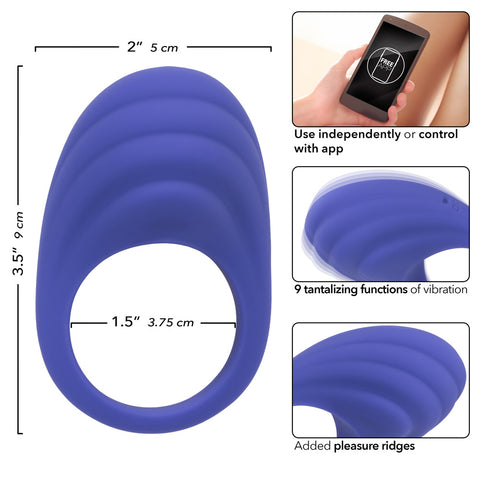 Calexotics Connect Couples Ring - Periwinkle Calexotics Connect Couples Ring - Periwinkle