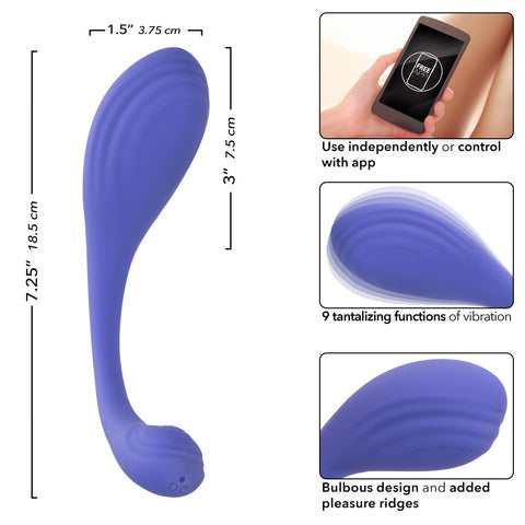 Calexotics Connect Kegel Exerciser - Periwinkle Calexotics Connect Kegel Exerciser - Periwinkle