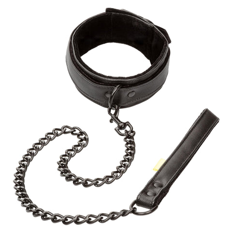 Boundless Collar & Leash Boundless Collar & Leash