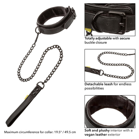 Boundless Collar & Leash Boundless Collar & Leash