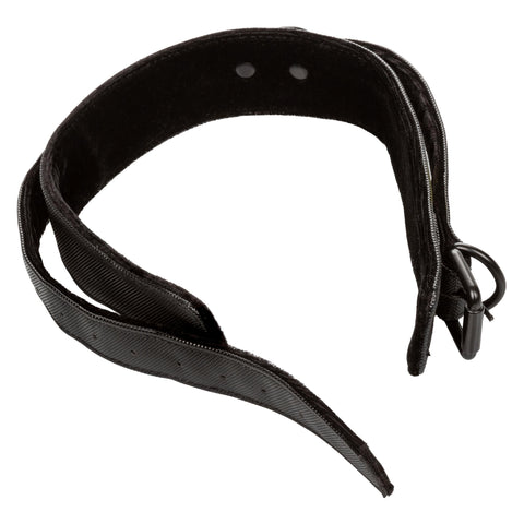 Boundless Collar & Leash Boundless Collar & Leash