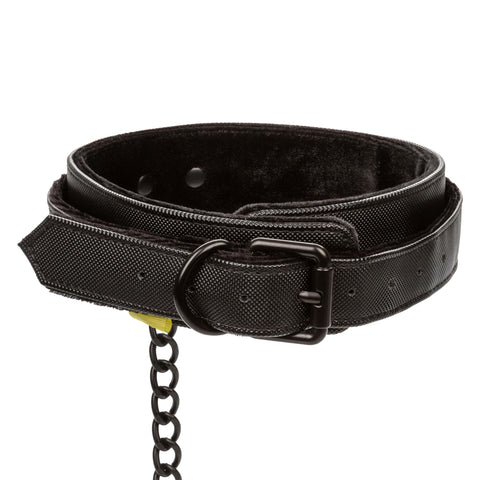 Boundless Collar & Leash Boundless Collar & Leash