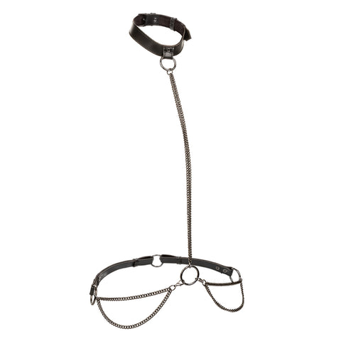 Euphoria Collection Chain Halter/collar and Leash  - Black Euphoria Collection Chain Halter/collar and Leash  - Black