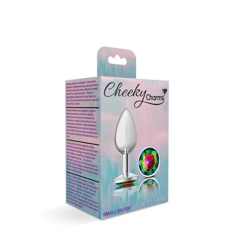 Cheeky Charms-Silver Metal Butt Plug- Round-Rainbow-Small Cheeky Charms-Silver Metal Butt Plug- Round-Rainbow-Small