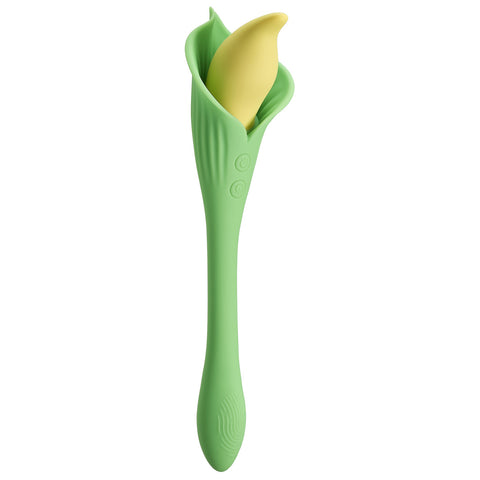 Spathe Lily Vibe Green Spathe Lily Vibe Green