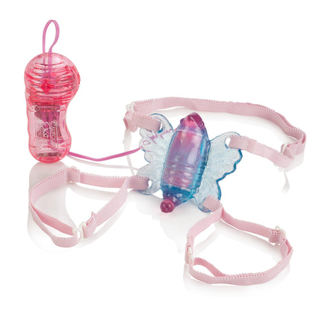 Shanes World Venus Butterfly Shanes World Venus Butterfly