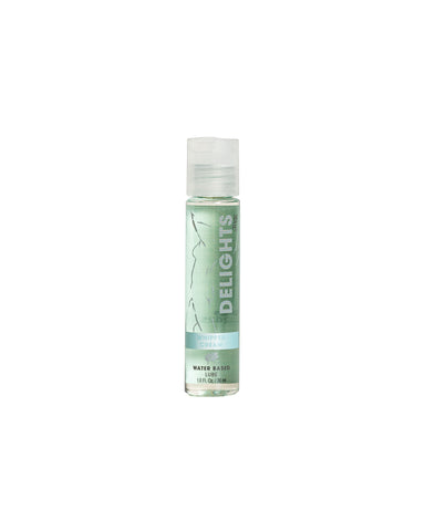 Delight Water Based - Whipped Cream - Flavored Lube 1 Oz Delight Water Based - Whipped Cream - Flavored Lube 1 Oz