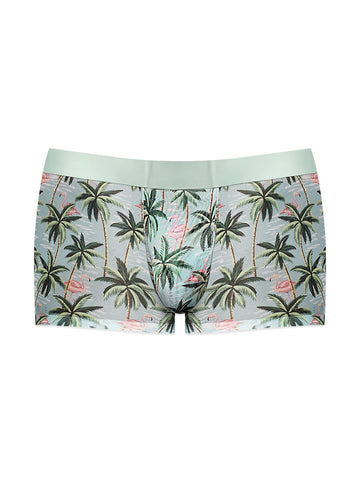 Sheer Prints - Seamless Sheer Short - X-Large -  Flamingo