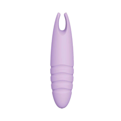 Sorbet Purple Passion