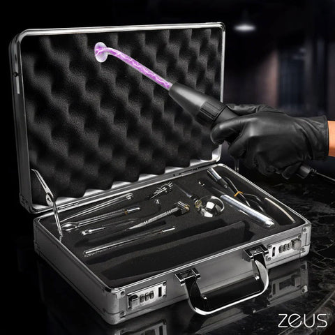 Zs Ultimate Edition Violet Wand Set